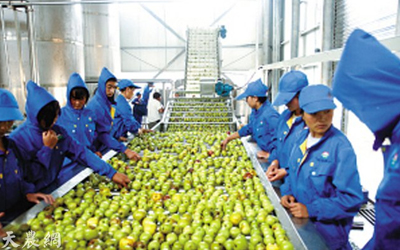 广东省关于扶持民营农产品加工企业发展的实施办法